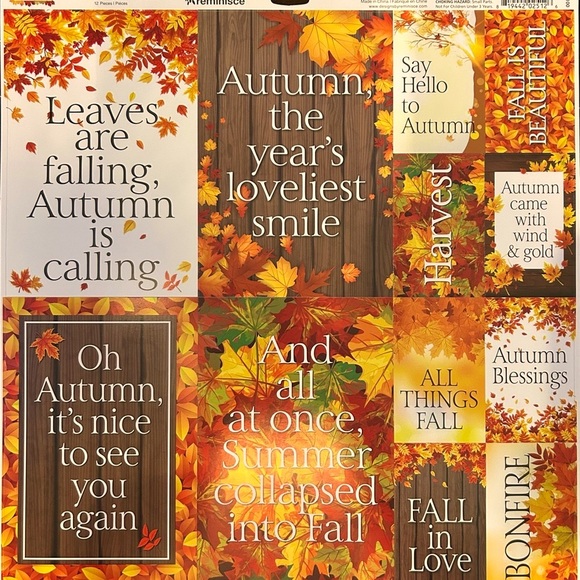 Fall Scrapbook Paper! 12x12 Double-Sided Premium Card Stock + Sticker Sheet! - Picture 6 of 6